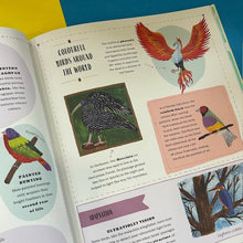 Load image into Gallery viewer, Fly