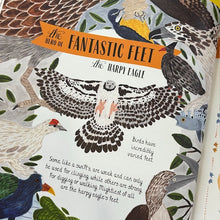 Load image into Gallery viewer, Fly