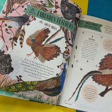 Load image into Gallery viewer, Fly