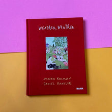 Load image into Gallery viewer, Weather , Weather