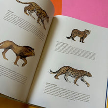 Load image into Gallery viewer, I Am Cat