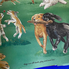 Load image into Gallery viewer, A Day In The Park