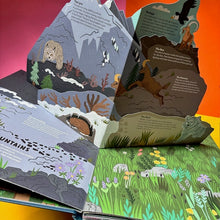 Load image into Gallery viewer, Wild Animals