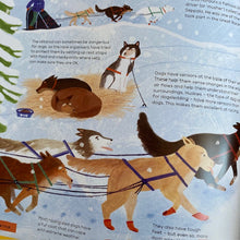 Load image into Gallery viewer, Celebrate!