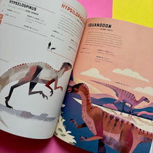 Load image into Gallery viewer, Dictionary Of Dinoasaurs