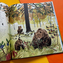 Load image into Gallery viewer, Brown Bears