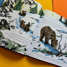 Load image into Gallery viewer, Brown Bears