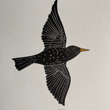 Load image into Gallery viewer, The Starling's Song