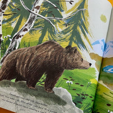 Load image into Gallery viewer, Brown Bears