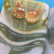 Load image into Gallery viewer, How To Find A Rainbow