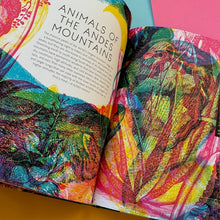 Load image into Gallery viewer, Illumipedia