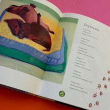 Load image into Gallery viewer, Goodnight, Starry Night