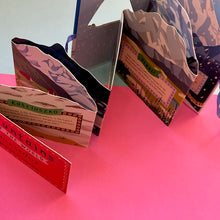 Load image into Gallery viewer, Mountains of the World : Flaps to Lift and Animals to Find
