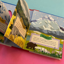 Load image into Gallery viewer, Mountains of the World : Flaps to Lift and Animals to Find