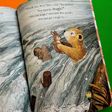 Load image into Gallery viewer, The Magic Feather