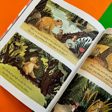 Load image into Gallery viewer, The Magic Feather