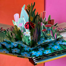 Load image into Gallery viewer, Minibeasts