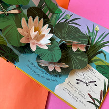 Load image into Gallery viewer, Minibeasts