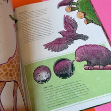 Load image into Gallery viewer, Life : The wild wonders of biodiversity