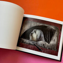 Load image into Gallery viewer, The Silence of Dogs in Cars