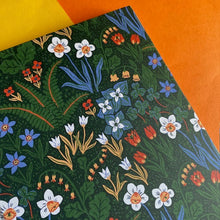 Load image into Gallery viewer, Little Witch Hazel - A Year In The Forest