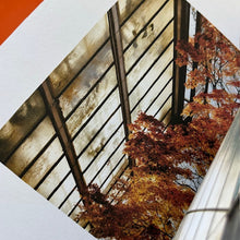 Load image into Gallery viewer, Botanical