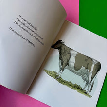 Load image into Gallery viewer, Don't Trust Fish!