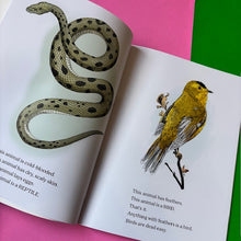 Load image into Gallery viewer, Don't Trust Fish!