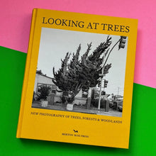 Load image into Gallery viewer, Looking At Trees