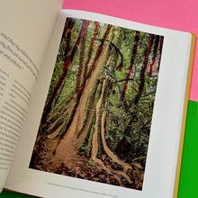 Load image into Gallery viewer, Looking At Trees