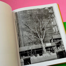 Load image into Gallery viewer, Looking At Trees
