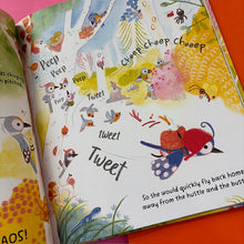 Load image into Gallery viewer, Picopaco