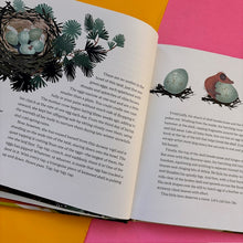 Load image into Gallery viewer, How To Know A Crow: The Biography of a Brainy Bird