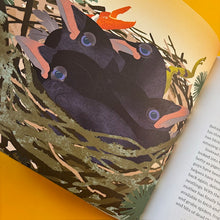 Load image into Gallery viewer, How To Know A Crow: The Biography of a Brainy Bird