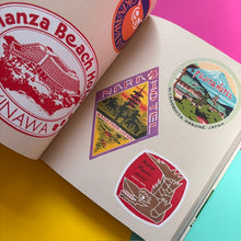 Load image into Gallery viewer, Hotel Retro: Vintage Luggage Labels from Tokyo to Buenos Aires : 330 Travel Ephemera Stickers