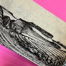 Load image into Gallery viewer, Patagoni