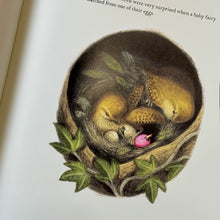 Load image into Gallery viewer, Tiny Jenny: Little Fairy, Big Trouble