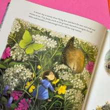 Load image into Gallery viewer, Tiny Jenny: Little Fairy, Big Trouble