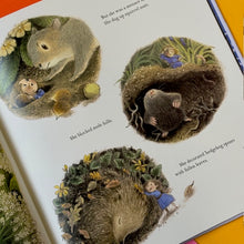 Load image into Gallery viewer, Tiny Jenny: Little Fairy, Big Trouble