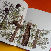 Load image into Gallery viewer, When A Tree Falls