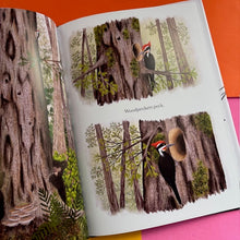 Load image into Gallery viewer, When A Tree Falls