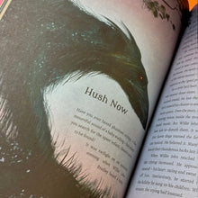 Load image into Gallery viewer, The Faerie Isle: Tales and Traditions of Ireland’s Forgotten Folklore
