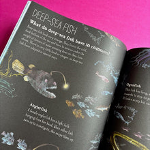 Load image into Gallery viewer, The Big Book Of Blue