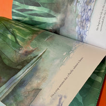 Load image into Gallery viewer, Salmon Run: An epic journey to the ocean and back