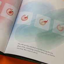 Load image into Gallery viewer, Salmon Run: An epic journey to the ocean and back