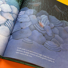 Load image into Gallery viewer, Salmon Run: An epic journey to the ocean and back