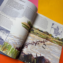 Load image into Gallery viewer, Super Navigators: How Animals Find Their Way