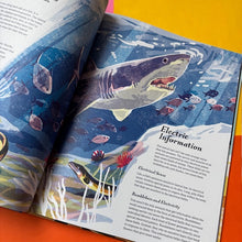 Load image into Gallery viewer, Super Navigators: How Animals Find Their Way