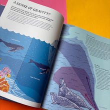 Load image into Gallery viewer, Super Navigators: How Animals Find Their Way