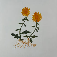 Load image into Gallery viewer, Two People Can